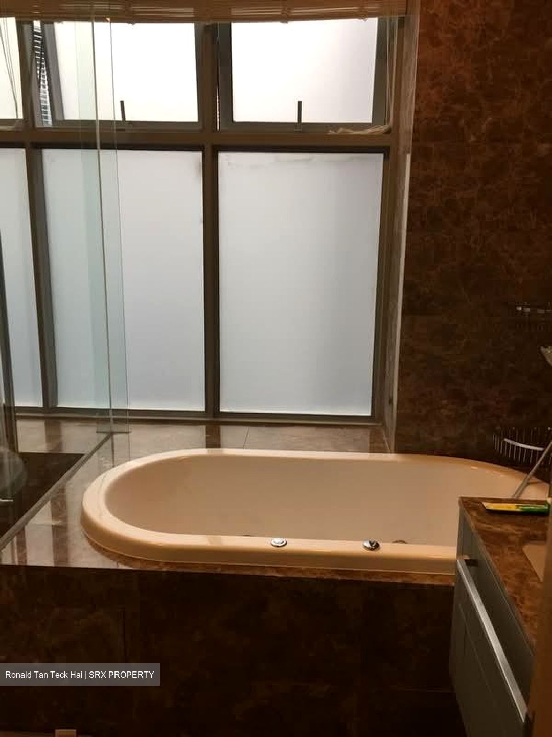 Residences @ Killiney (D9), Apartment #580728921